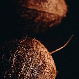 Kokosnoot van Marie Ndiaye