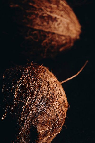 Kokosnuss von Marie Ndiaye