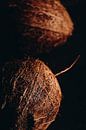 Kokosnuss von Marie Ndiaye Miniaturansicht