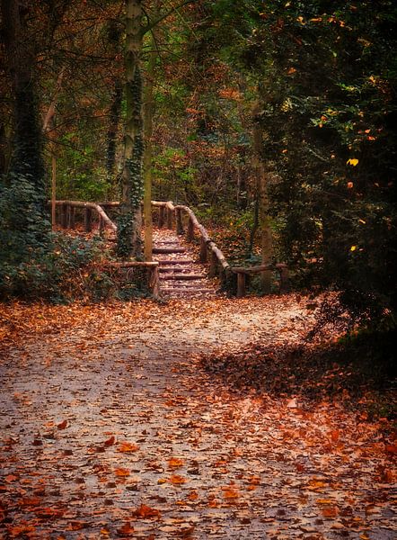 Automne à Gavers 2 par Maickel Dedeken