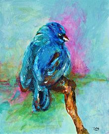 Vogel ( 6) Een ernstige blauwe vogel.