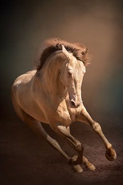 Galopperend paard | Fine art | Paardenfotografie van Laura Dijkslag