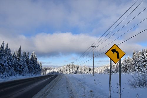 Een landweg in de winter