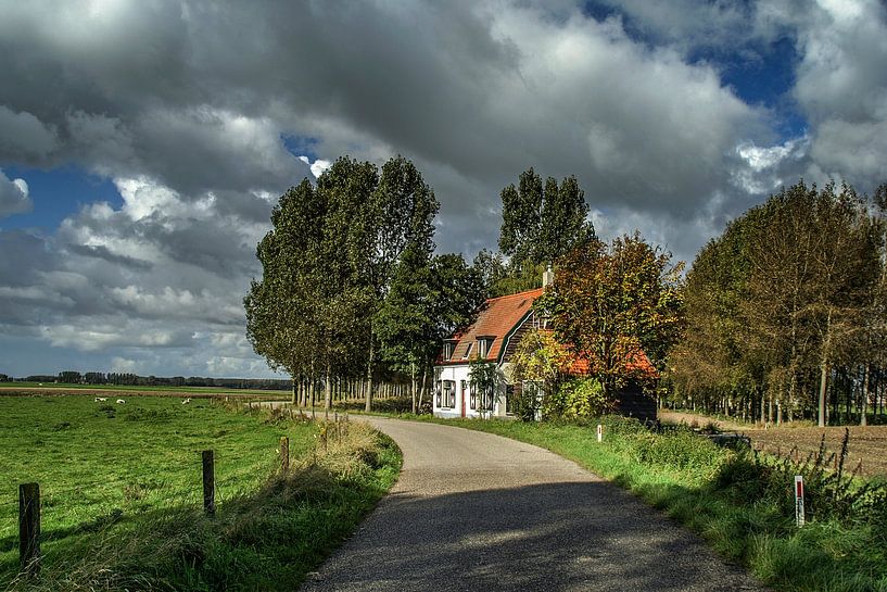 Polder van Mario de Lijser