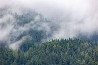 Mistige Magie: Berglandschap in Oostenrijk