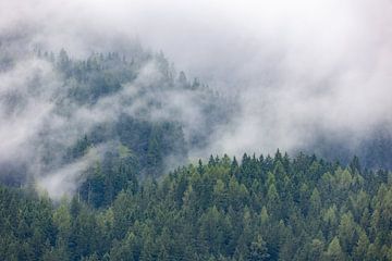 Magie du brouillard : paysages de montagne en Autriche sur Jacob Molenaar