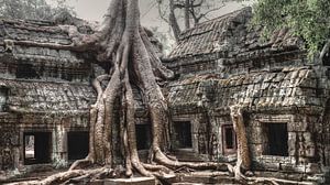 Ta Prohm