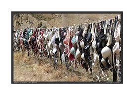 BH Fence in Cardrona - A2 by Matthias Brix