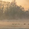 IJssel near Wilsum in fog by Evert Jan Kip