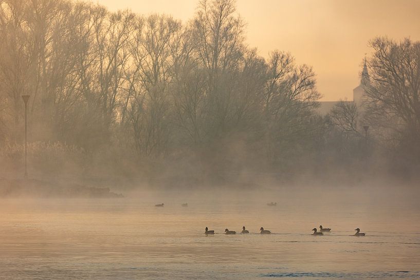 IJssel near Wilsum in fog by Evert Jan Kip