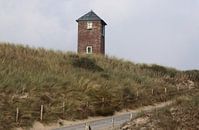 Lichtbaken Het Kustlicht van MSP Canvas thumbnail