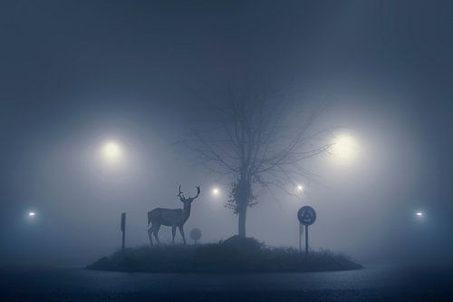 Betoverende Avondfoto: Mystieke Ree op een Mistige Rotonde voor Uw Interieur