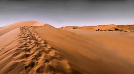 A walk in the dessert by Wilderlicht