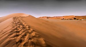 Ein Spaziergang in der Wüste von Wilderlicht