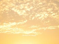 Golden Sky