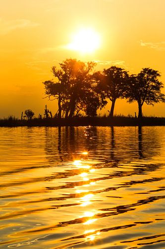 Sunset Chobe river