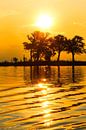 zonsondergang Chobe rivier van Edith Büscher thumbnail