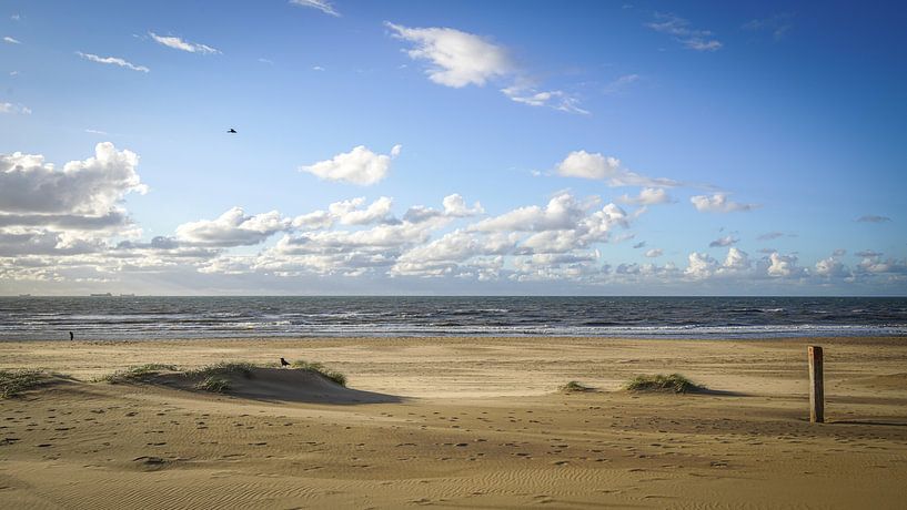 Strand, zee en zon van Dirk van Egmond