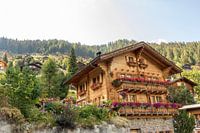 Typical Swiss mountain house
