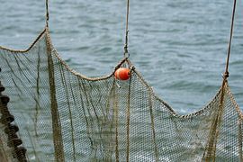Shrimp fishing net on the Wadden Sea by Mirjam Welleweerd