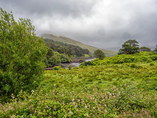 Erriff River - Rolling Green Hillside With River