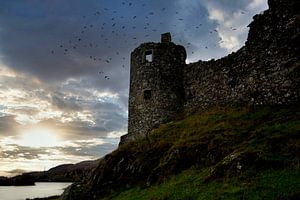 Ruines du château sur Franke de Jong