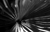 Schatten & Licht