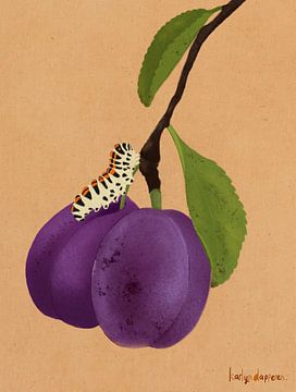 Plums by Karlijn Dapperen