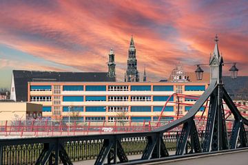 Uitzicht op de stad Zwickau in Saksen, Oost-Duitsland van Animaflora PicsStock