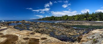 Plage botanique