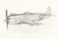 P-47 Thunderbolt van Frank Vos thumbnail