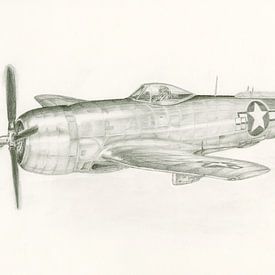 P-47 Thunderbolt van Frank Vos