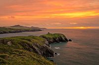 Abereiddi Fort