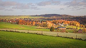 Wolfhaag und Raren