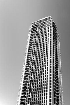 Rotterdam, Zalmhaventoren in zwart wit gefotografeerd van Patrick Verhoef