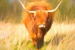 Schottischer Highlander gemalt