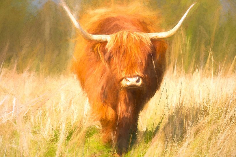 Schottischer Highlander gemalt von Arjen Roos