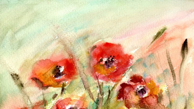 Mohn im Wind - Papaver in de wind von Claudia Gründler