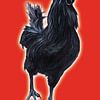 Big Black Cock (grote zwarte haan) von Studio Fantasia