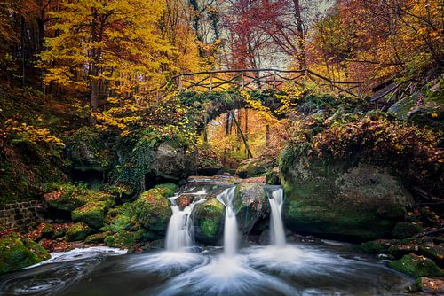 Herfst in het Mullerthal - Schietvijver