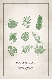 Vintage Poster botanische Blätter mit verschiedenen tropischen Blättern
