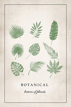 Poster vintage feuilles botaniques avec diverses feuilles tropicales sur KB Design & Photography (Karen Brouwer)