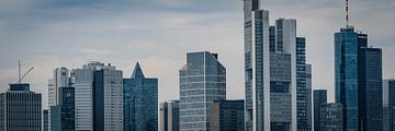skyline Frankfurt van Andre Michaelis