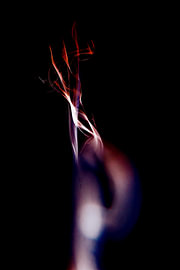 Crimson Silence