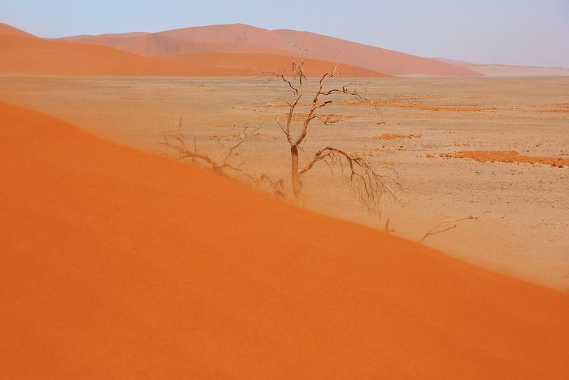 NAMIBIA ... Namib Desert Sandstorm II van Meleah Fotografie