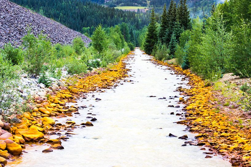 Fluss in Colorado (Durango) von Devin Meijer