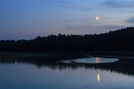 River en maan nacht landschap von Dennis van de Water Miniaturansicht