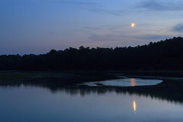 River en maan nacht landschap van Dennis van de Water