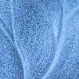 Structure foliaire dans la glace sur Karla Leeftink