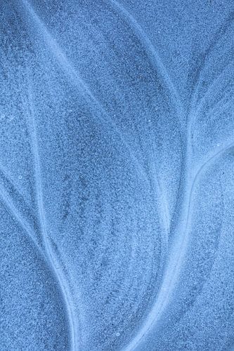 Bladstructuur in ijs